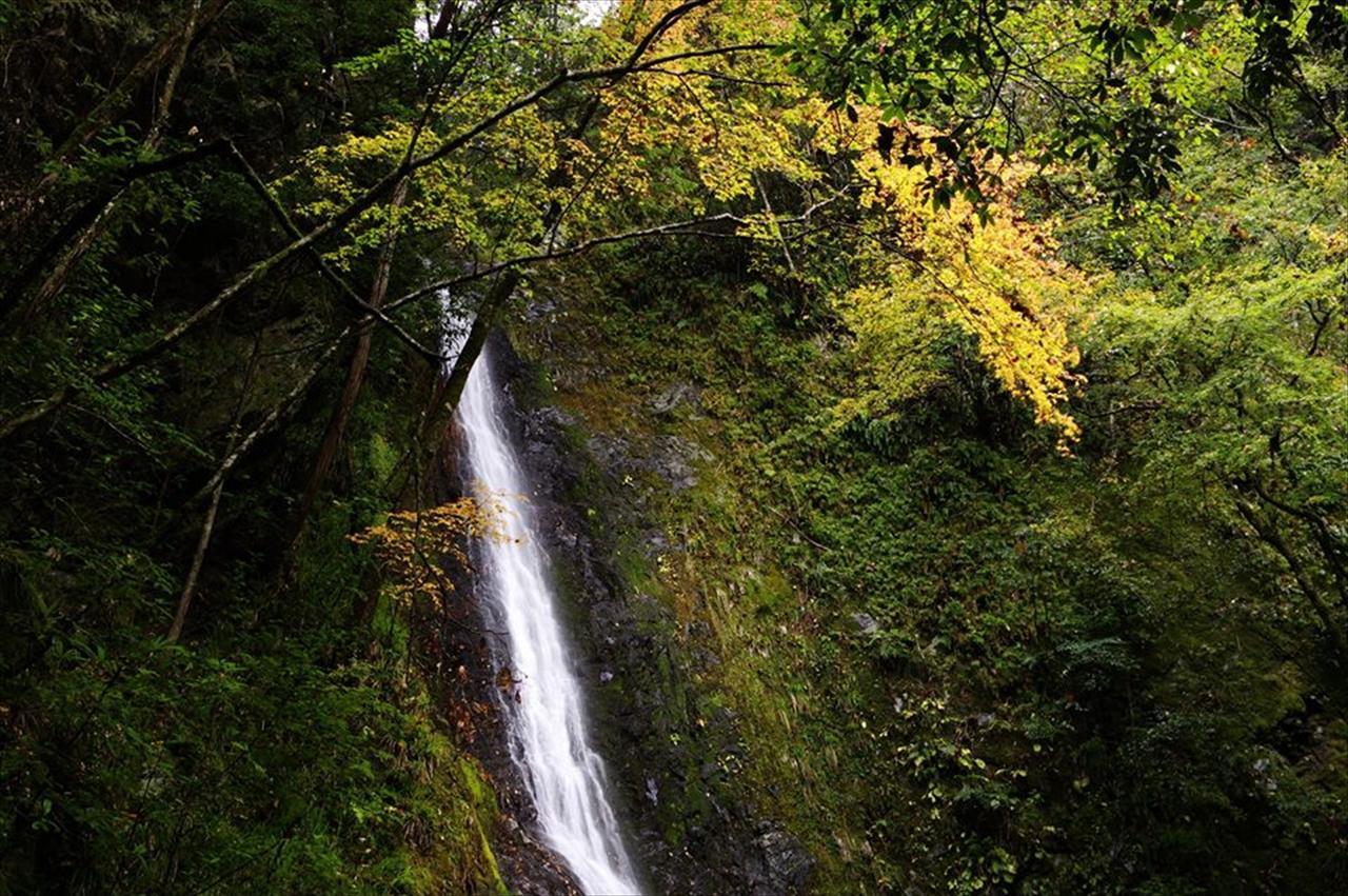 Yadori Onsen Iyashinoyu Βίλα Hashimoto  Εξωτερικό φωτογραφία